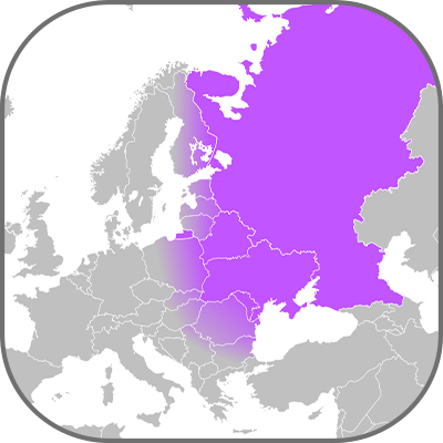 East European Osvětlovací trh